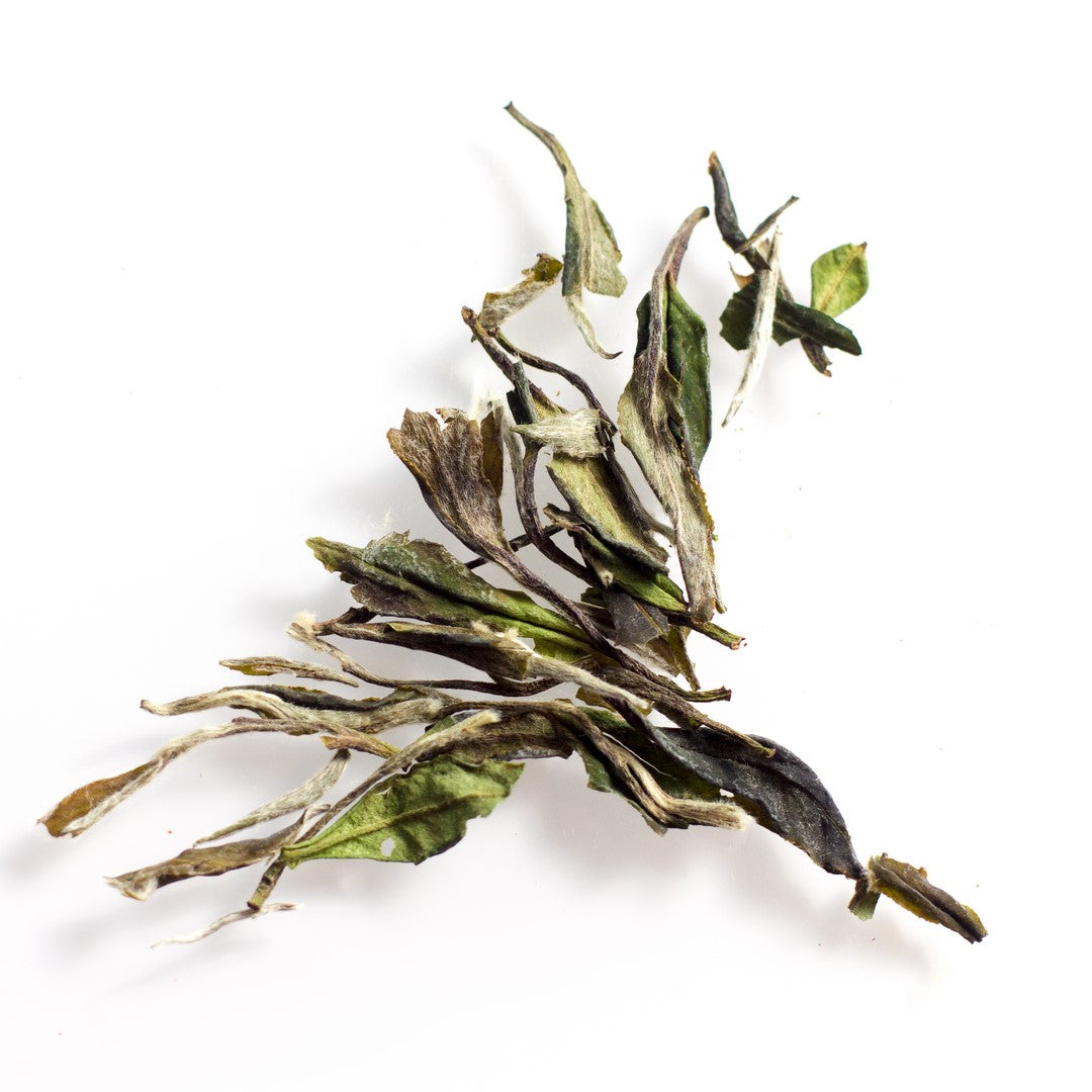 Thé blanc Pai Pu Tan